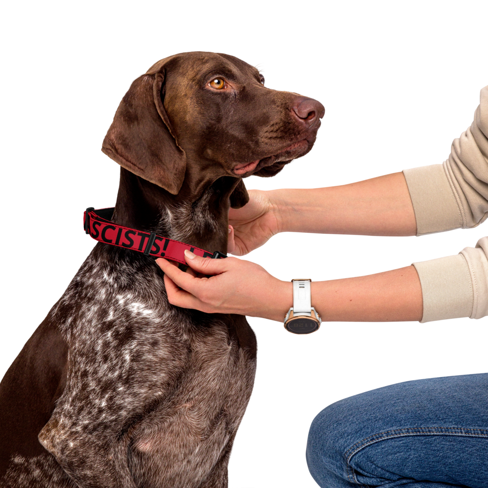 ANTI-FASCISM DOG COLLAR